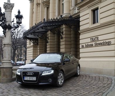 Dwudrzwiowe dzieło Waltera de'Silvy