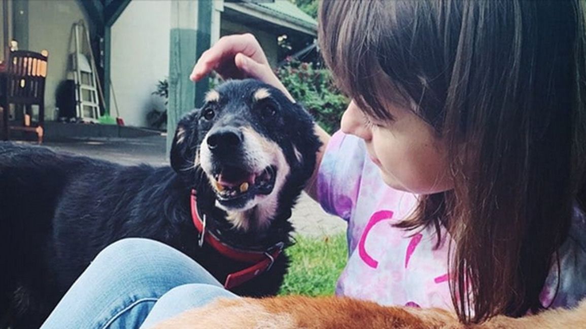 Bilbo w swoim kochającym domu.