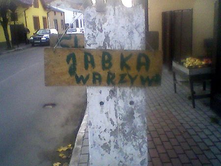 Obraz