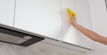 Kroję go na pół i przecieram fronty szafek – ślady palców od razu znikają!