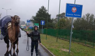 22-letnia Francuzka wędruje z wielbłądem. W drodze do Mongolii zatrzyma się w Polsce