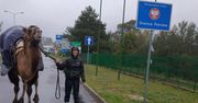 22-letnia Francuzka wędruje z wielbłądem. W drodze do Mongolii zatrzyma się w Polsce