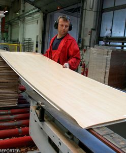 "Twardy Brexit" oznacza redukcję etatów w Polsce o ok. 46,5 tys.