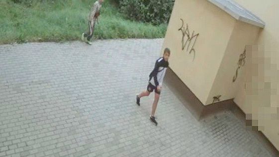 Rozpoznajesz chuliganów z tego zdjęcia?