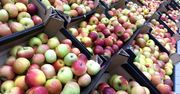 Podwyżka VAT na soki. Producenci ostrzegają, że ucierpią sadownicy