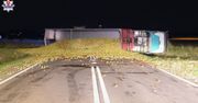 Wypadek w Łukowie. Ponad 20 ton jabłek rozsypanych na drodze