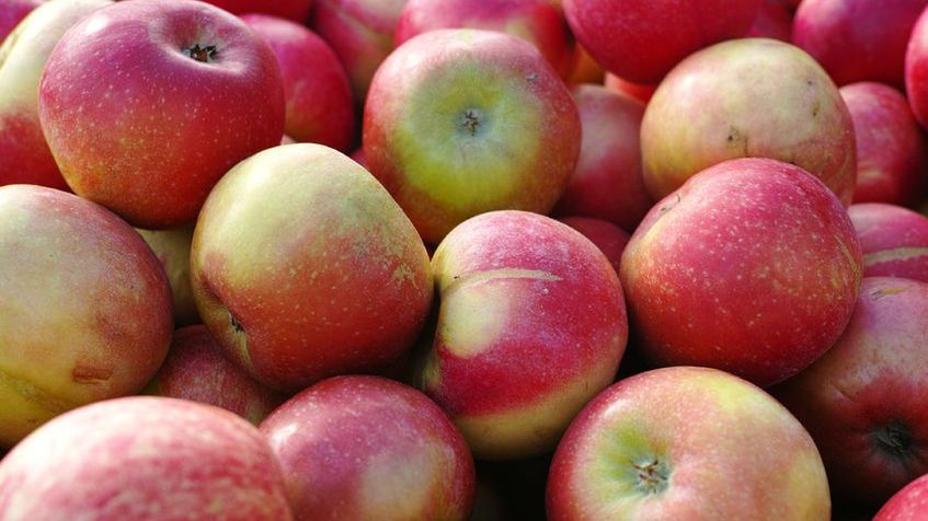 Import owoców do Polski jest zagrożony przez przedłużające się kontrole na granicach.