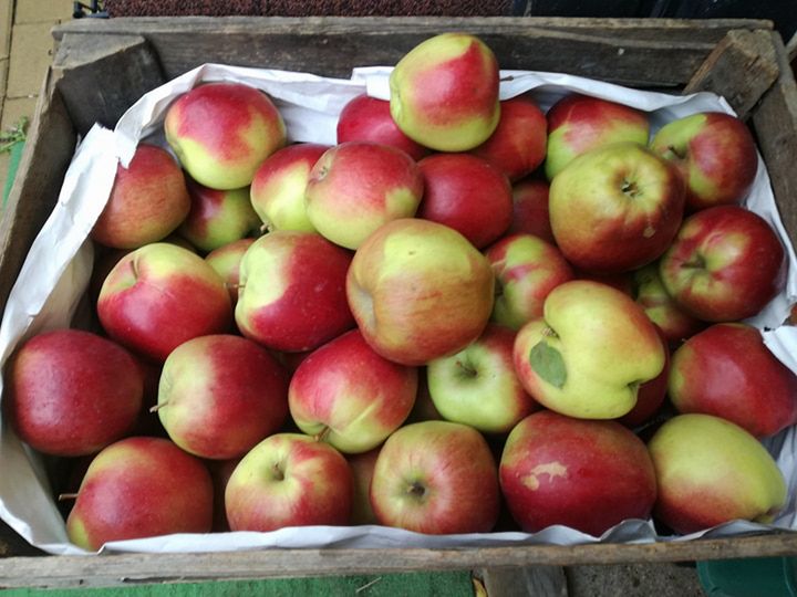Polska jabłkami stoi. Niestety drogimi i niskiej jakości