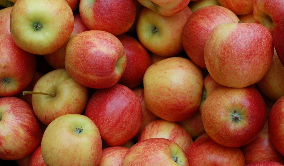 Wystarczy jedno dziennie. Dlaczego warto jeść jabłka?