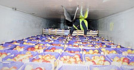 Afgańczycy w transporcie owoców do Polski. Cztery dni jedli tylko jabłka