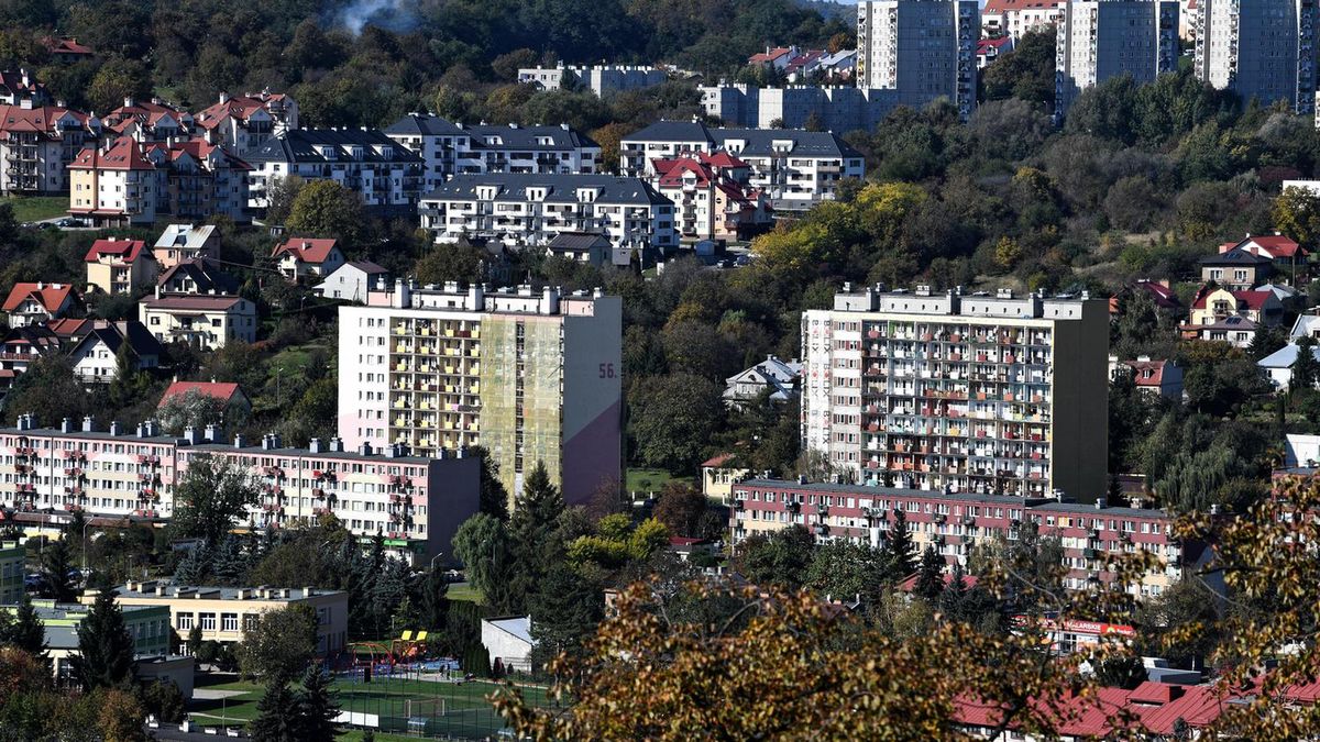 Jaka przyszłość czeka wielką płytę?