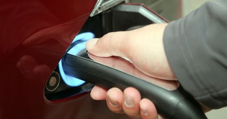 W Gdańsku samochody elektryczne parkują bezpłatnie. To jedno z pierwszych takich rozwiązań w Polsce