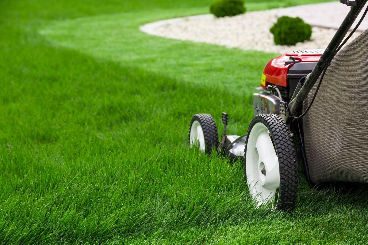 Trawnik mały i duży – jakie sprzęty do koszenia warto wybrać?
