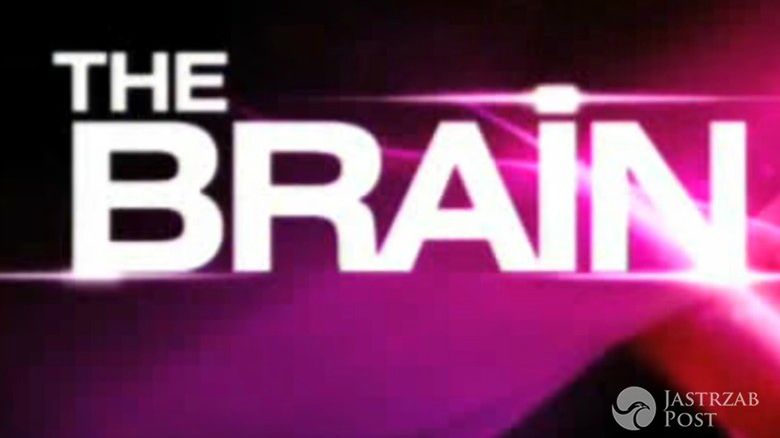 The Brain główne