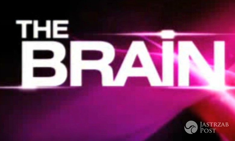 The Brain główne
