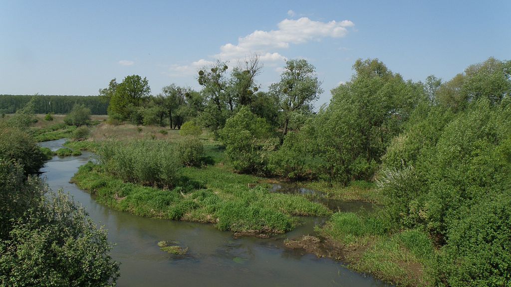 rzeka Stobrawa