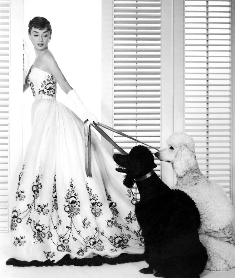 Audrey Hepburn (1954)