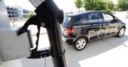 Bezpłatne parkingi zachęcą do kupna aut elektrycznych