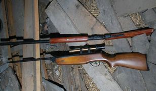 Oddał dwadzieścia strzałów do psa. Mężczyzna nie potrafił wytłumaczyć, dlaczego to zrobił