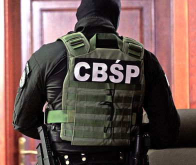 CBŚP Warszawa i Toruń: funkcjonariusze zatrzymali 11 podejrzanych o prowadzenie agencji towarzyskich