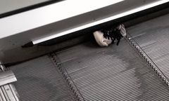 Schody ruchome niemal uwięziły nogę dziewczynki. Ochrona zachowała się skandalicznie