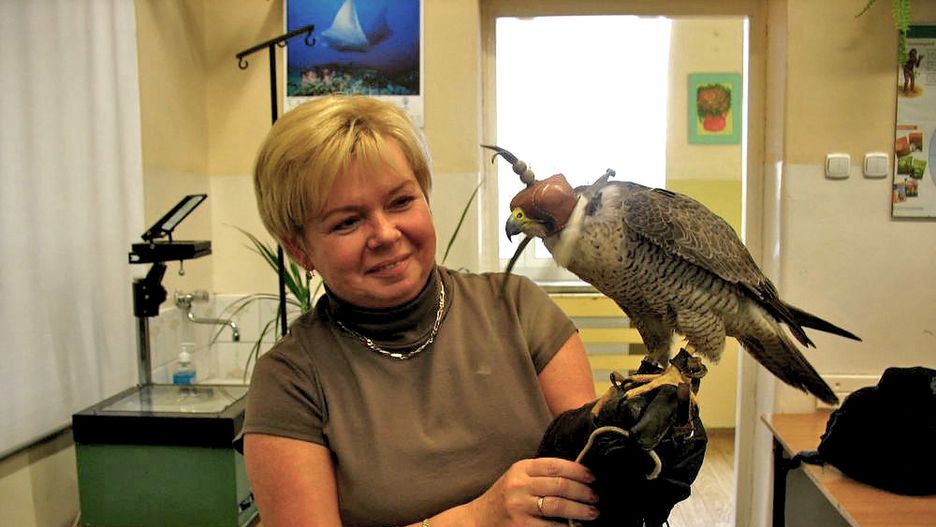 Małgorzata Prabucka, nauczycielka biologii w gdańskim gimnazjum. Po reformie edukacji straciła pracę. 