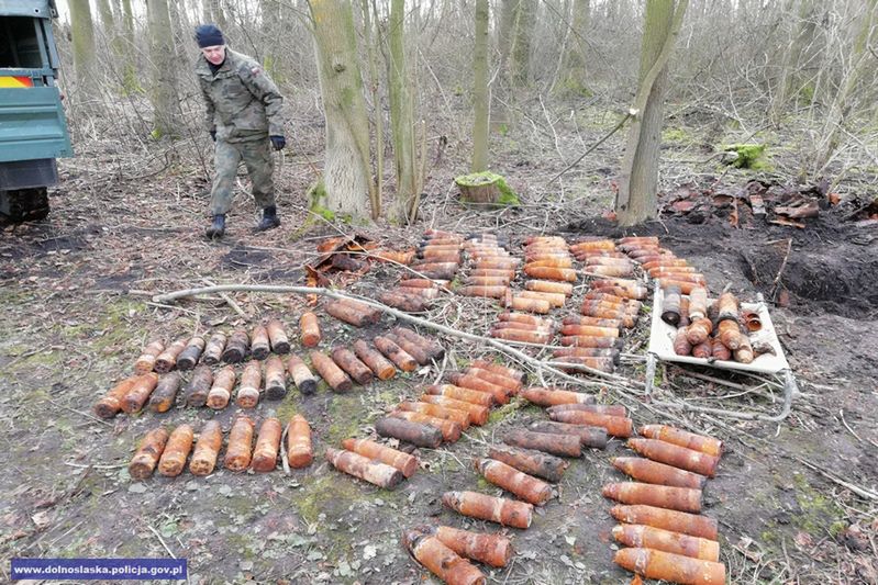 Dolny Śląsk. Podczas wycinki drzew znaleziono 41 skrzyń z rakietami