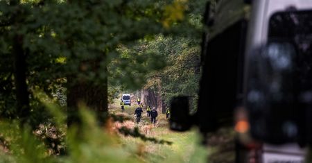 Kuźnia Raciborska. W lesie "pocisków jest jak grzybów". Burmistrz: musimy z tym żyć