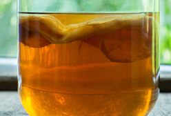 Kombucha - wyjątkowa, fermentowana herbata z cukrem