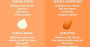Poznaj rodzaje cebul i przekonaj się, do czego nadają się najlepiej