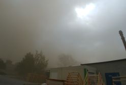 "Thekla" nad Polską. Połamane drzewa, zalane tory, trąba powietrzna nad Podlasiem