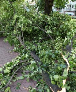 Wichura powaliła drzewo na samochód. Nie żyje 7-latek