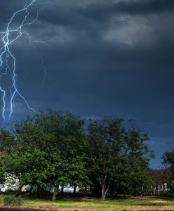 Łódzkie: olbrzymie zniszczenia po burzach