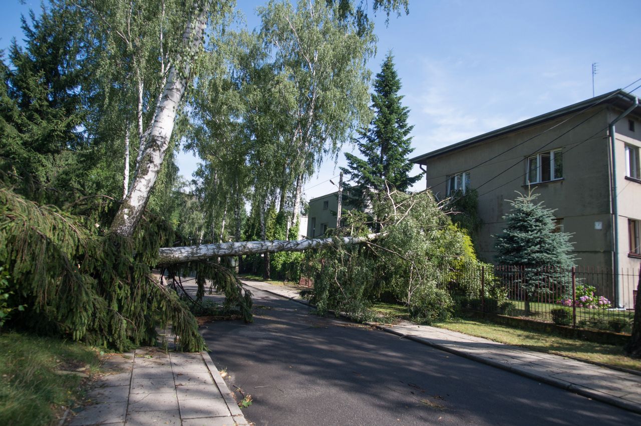 Tysiące Polaków bez prądu po nawałnicy. Enea przyznaje, że usuwanie zniszczeń potrwa