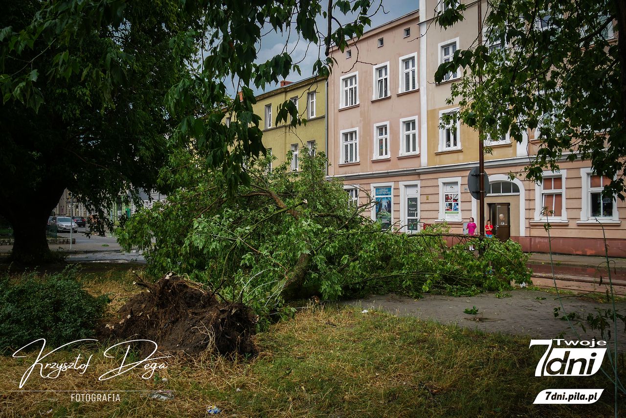 150 interwencji straży pożarnej w związku z silnymi burzami