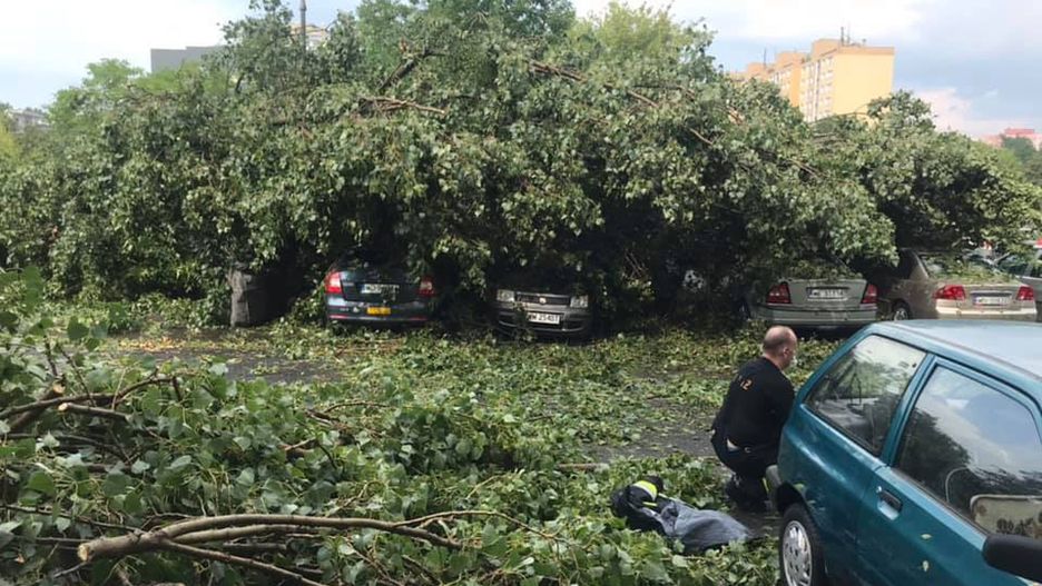 Gdzie jest burza? Skutki nawałnicy na warszawskich Bielanach 