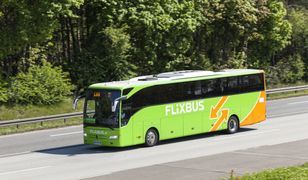 Rusza pierwsza promocja FlixBusa w Polsce. Bilety od 99 groszy