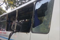 Nowe Miasto Lubawskie: jeleń wbiegł wprost pod szkolny autobus. Ranna 16-latka