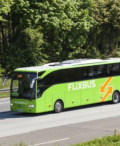 Rusza pierwsza promocja FlixBusa w Polsce. Bilety od 99 groszy