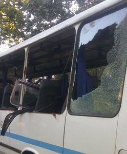 Nowe Miasto Lubawskie: jeleń wbiegł wprost pod szkolny autobus. Ranna 16-latka