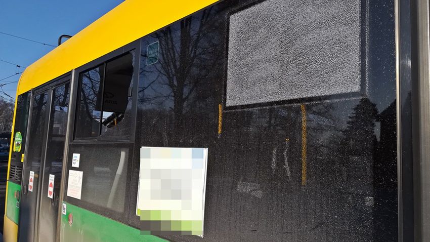 Na miejscu nie znaleziono też żadnych łusek, stąd podejrzenie, że strzały mogły paść z wiatrówki