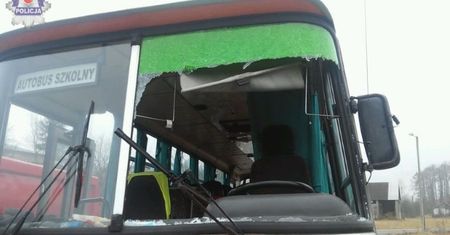 W autobus uderzyła kaczka. Dziecko zostało ranne