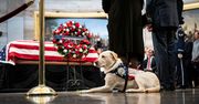 Pies George’a Busha Sully otrzyma własny pomnik w Teksasie
