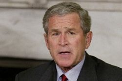 Bush dołuje