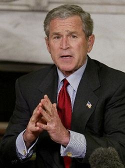 Bush dołuje