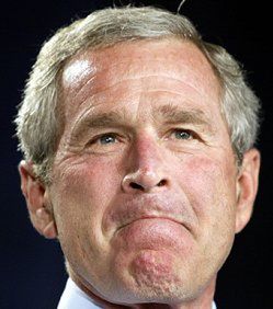 "Bush mija się z rzeczywistością"