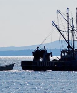 Praca w Islandii - Czy warto wyjechać na Wyspę?