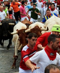 Pampeluna. Mężczyzna został ugodzony podczas gonitwy byków w Hiszpanii