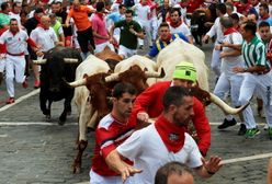 Pampeluna. Mężczyzna został ugodzony podczas gonitwy byków w Hiszpanii