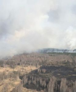 Pożar lasu w Czarnobylu. Ogień zajął 20 hektarów zieleni w zamkniętej strefie